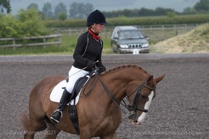 ISIS Dressage Challenge 2008